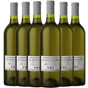 Sauvignon Blanc 2024 - Stellenbosch