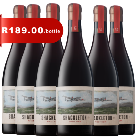 Bottle of Stettyn Shackleton Pinot Noir 2024 – South African red wine