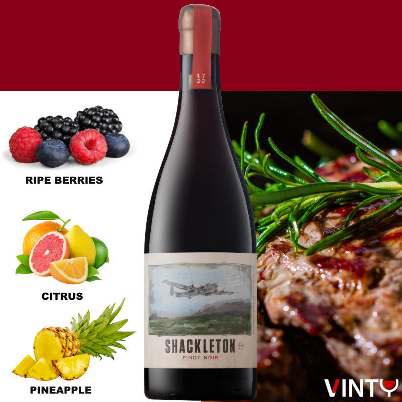 Bottle of Stettyn Shackleton Pinot Noir 2024 – South African red wine