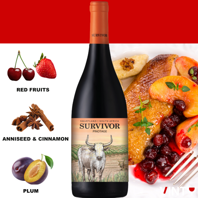 Bottle of Survivor Tasting Profile Terroir Pinotage 2023 – South African red wine from Swartland