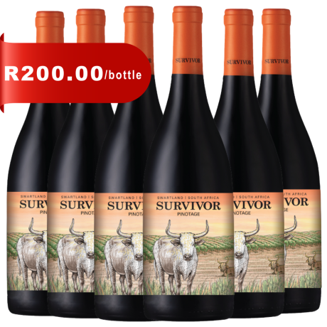 Survivor Terroir Pinotage 2023