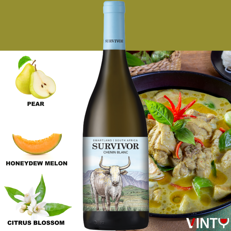 Tasting Profile : Survivor-Terroir-Chenin-Blanc-2024