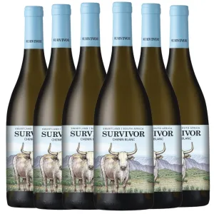 Survivor Terroir Chenin Blanc 2024