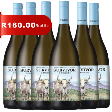Bottle of Survivor Terroir Chenin Blanc 2024