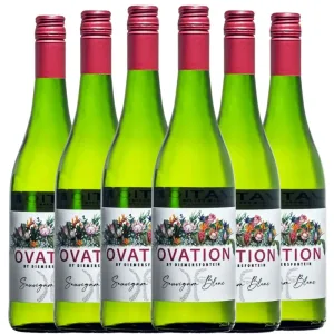 Diemersfontein Ovation Sauvignon Blanc 2024