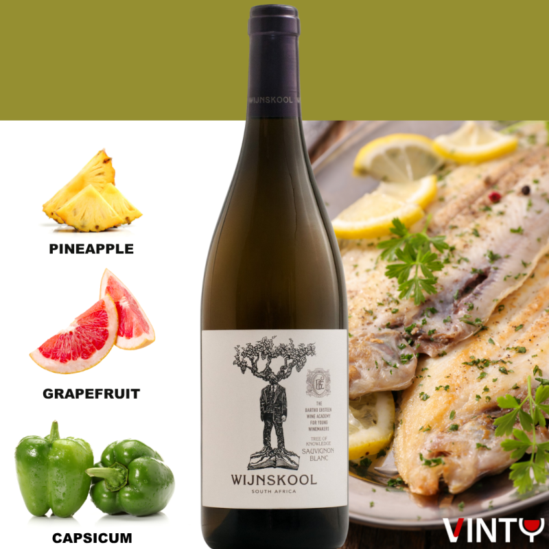 Wijnskool Tree of KNowledge Sauvignon Blanc. Tasting profile