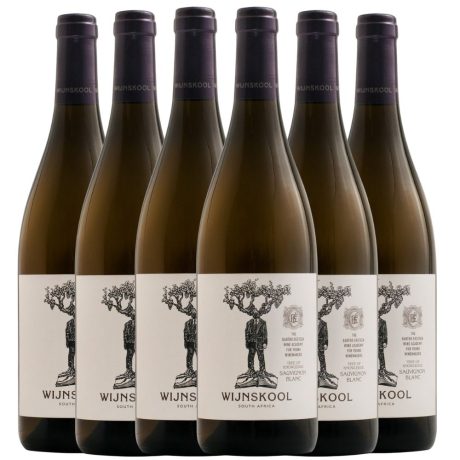 Wijnskool Tree of Knowledge Sauvignon Blanc 2023