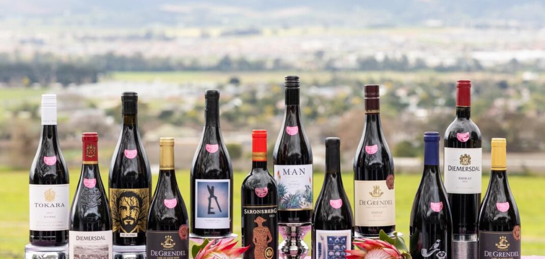 Top 12 Shiraz 2025