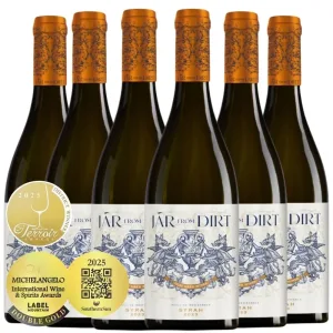 Stettyn Jar From Dirt Syrah 2023