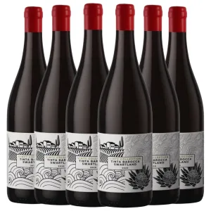 Vinty-Collection-Tinta-Barocca-Swartland-2020
