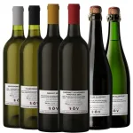 XCellar SR Discovery Case