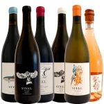Steel-Wines-Introduction-Case