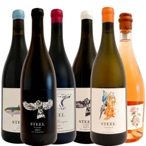 Steel-Wines-Introduction-Case