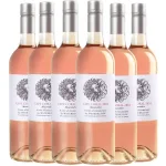 waterkloof-Curcumstance-Rose-2024