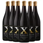 XCellar Shiraz Stellenbosch 2021