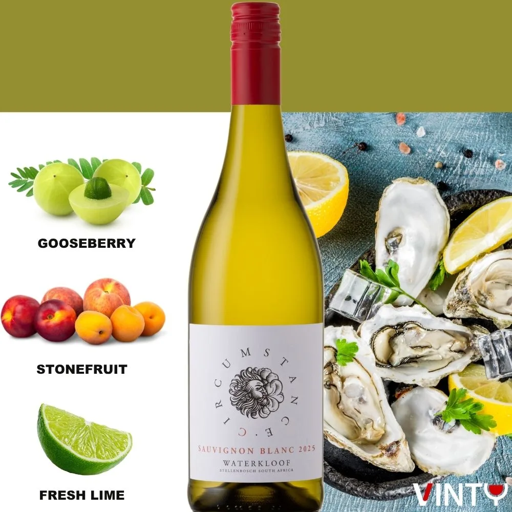 Waterkloof Circumstance Sauvignon Blanc 2025 - Image 2